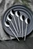 Set de tacâmuri, 30 piese, oțel inoxidabil, argintiu