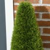 homcom-set-de-plante-artificiale-2-chiparosi-in-ghiveci-inaltime-90cm
