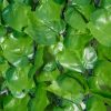 outsunny-gard-viu-artificial-pentru-intimitate-decoratiune-de-perete-verde-deschis-300-x