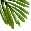outsunny-planta-artificiala-cu-19-frunze-de-palmier-in-ghiveci-150-cm-inaltime