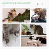 pawhut-stalp-de-zgariat-pentru-pisici-in-forma-de-cactus-din-lemn-de-pin-si-franghie-de