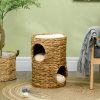 pawhut-turn-pentru-zgariat-pisici-2-niveluri-47-cm-inaltime-zambila-de-apa-naturala-cu