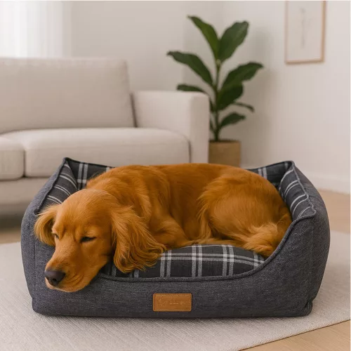 Pat pentru câini premium britanic, M 70x60 cm