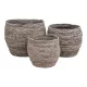 Set de 3 coșuri Tivoli, frunze de porumb, gri