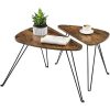 vasagle-masuta-de-cafea-din-2-piese-masuta-depozitare-maro-rustic
