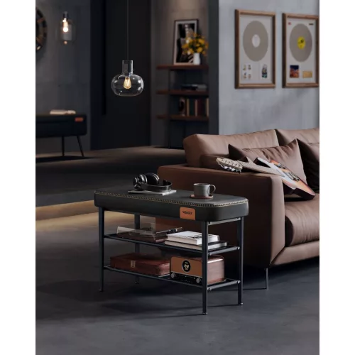 vasagle-bancheta-pentru-pantofi-echo-2-niveluri-husa-din-piele-ecologica-neagra-30-x-80-x