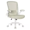 Scaun de birou, plasă, ergonomic, cu cotiere reglabile, bej