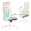 Scaun de birou ergonomic, reglabil pe înălțime, tetieră, bej cappuccino