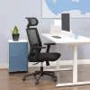 Irodai forgószék, ergonomikus, hálós, állítható fejtámasz, fekete