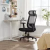 Irodai forgószék, ergonomikus, hálós, állítható fejtámasz, fekete