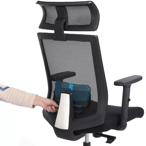 Irodai forgószék, ergonomikus, hálós, állítható fejtámasz, fekete