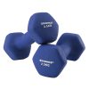songmics-set-manual-gantere-2-x-25-kg-albastru