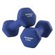 songmics-set-manual-gantere-2-x-25-kg-albastru