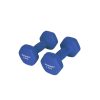 songmics-set-manual-gantere-2-x-25-kg-albastru